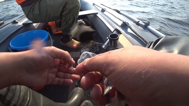 Рыбалка Весной. Ловля Корюшки с Лодки на спиннинг. Финский Залив морская сторона. смотреть онлайн