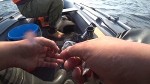 Рыбалка Весной. Ловля Корюшки с Лодки на спиннинг. Финский Залив морская сторона.