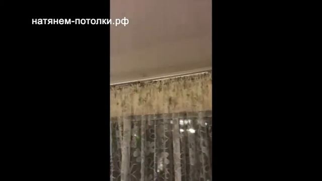 Отзыв 5 смотреть онлайн