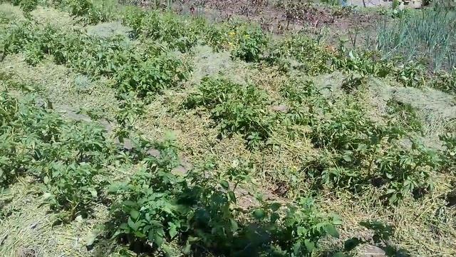 Альтернативное отопление рассуждения . смотреть онлайн