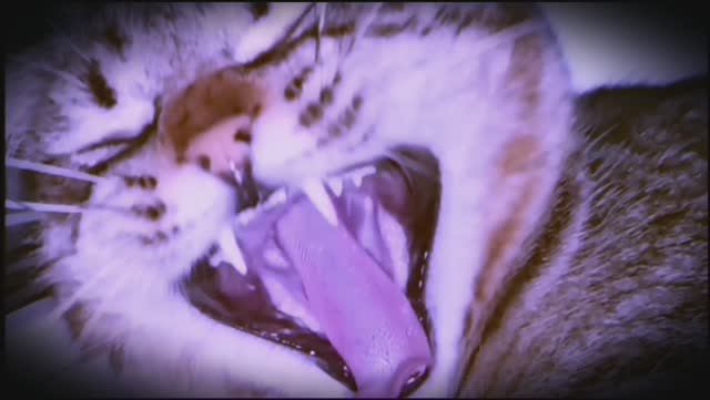 СОН... смотреть онлайн