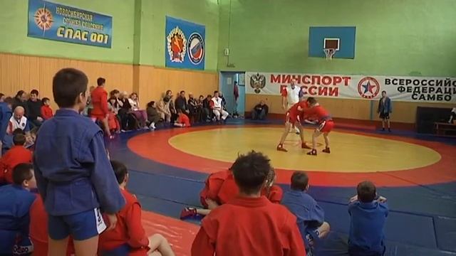 Самбо любит смелых смотреть онлайн