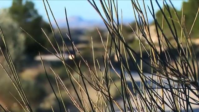 Suzuki V-Strom 650 A Adventure смотреть онлайн