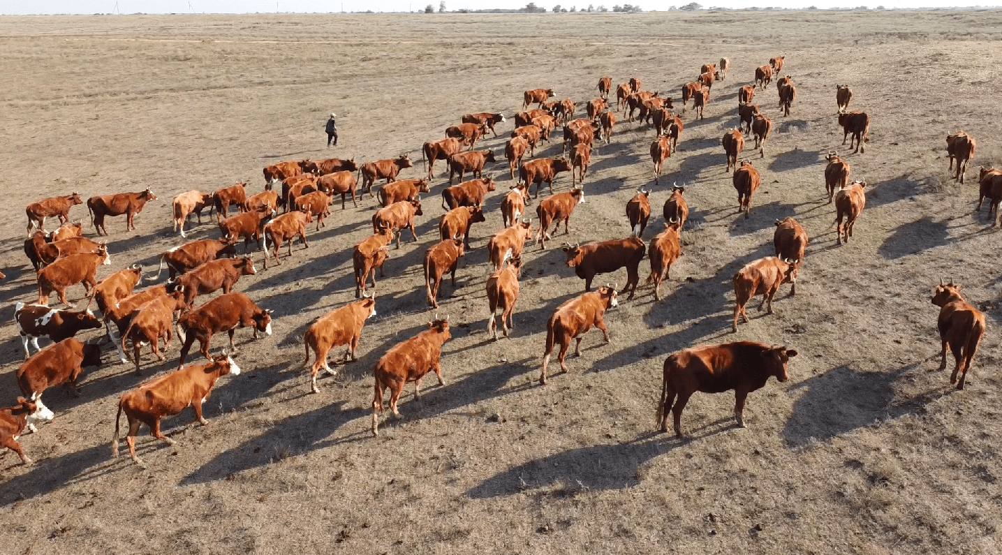 Деревенское счастье Павла Стороженко
