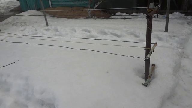 Муромцево на винограднике 2022год 17 марта 31 марта 2 апреля 3 апреля смотреть онлайн