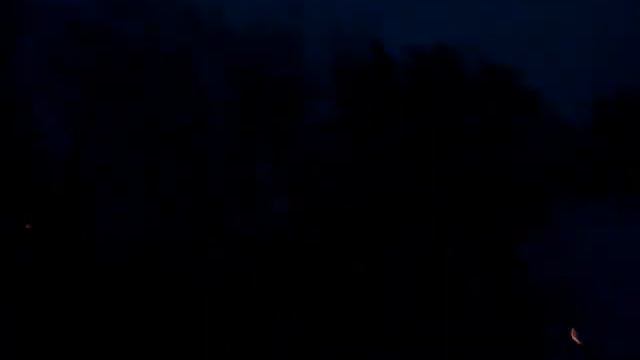 НОЧНЫЕ ИСКРЫ С ДЕРЕВЬЕВ!!!!!!!!!!!!!!!!!!! смотреть онлайн