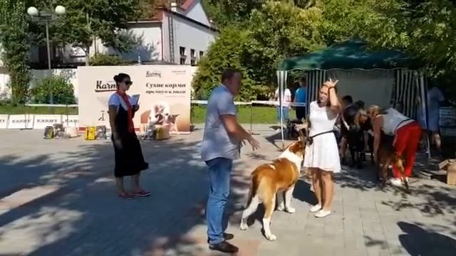 Сказка Востока Гудвин смотреть онлайн