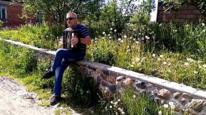 Одуванчик ты мой одуванчик облетели твои семена