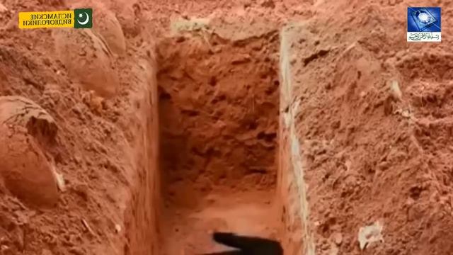 Змея в могиле почему????