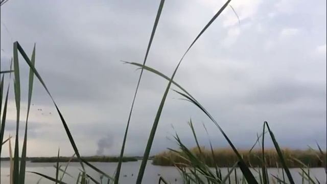 Guatemala Duck and White Wing Dove Hunting смотреть онлайн