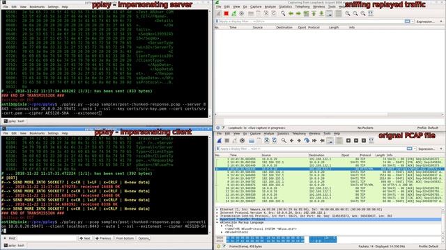 using pplay to replay tcp connection payload in pcap and encapsulate it into TLS смотреть онлайн