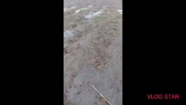 Чем я занимаюсь в декрете// Краткий обзор хобби. Том 1 смотреть онлайн