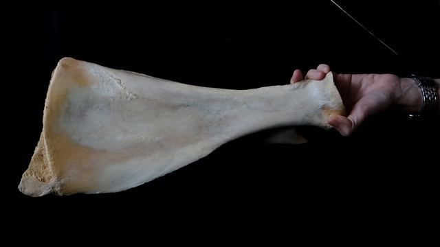 Стройка Эксперт