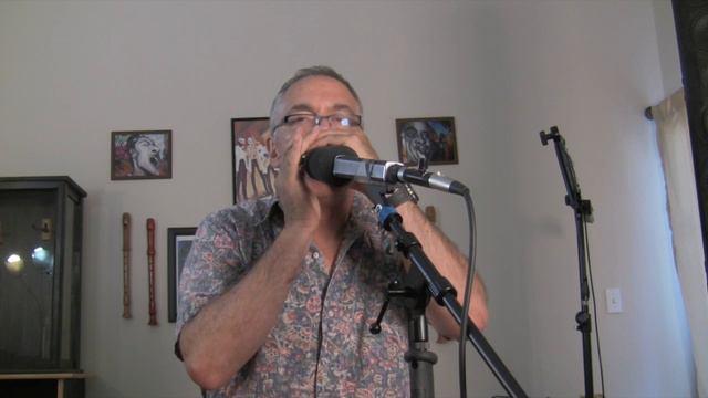 Looping with Leiboff --- Seydel A Session Steel A flatted 7 tuning смотреть онлайн