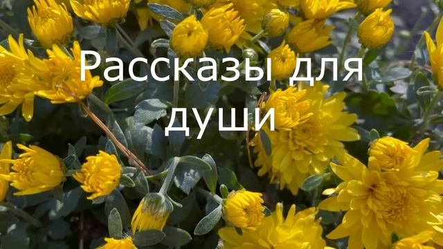 ?Я была слепа, и за это буду платить всю жизнь...