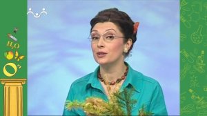 АЗН. Биология. Почему листья желтеют. Песчанки