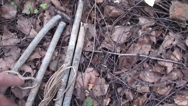 ЗА ГРИБАМИ И ЗА МОНЕТАМИ FOR MUSHROOMS AND COINS смотреть онлайн