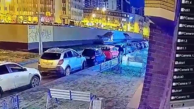 Кража ёлки в Мурино Ленинградской Области. смотреть онлайн
