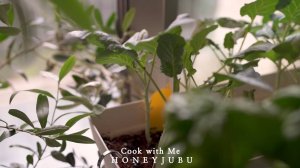 Honeyjubu 6 очень простых рецептов летней домашней кухни