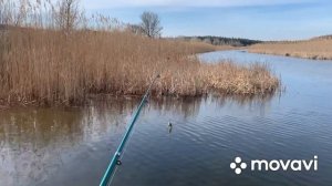 Рыбалка на спиннинг ловля щуки весной с берега воблер весенняя щука 2022 День 1