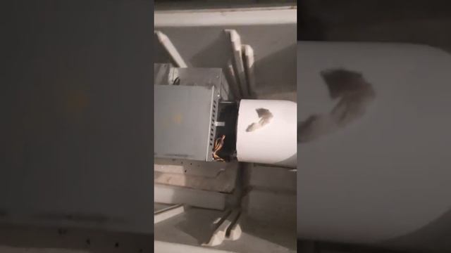 Бокс для Асика из холодильника ? смотреть онлайн