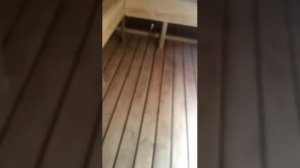 Баня из морского контейнера