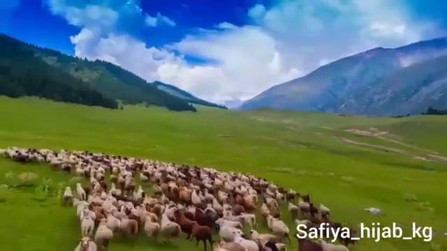 Мекенди суйуу бул-милдет! смотреть онлайн