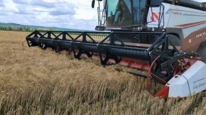 Детям о профессии агронома