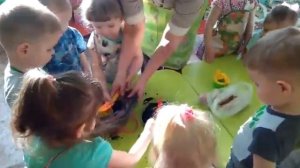 Занятие с детьми как посадить лук.