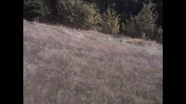 ПОЛЕТЫ ВО СНЕ И НАЯВУ! смотреть онлайн