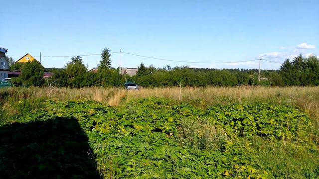 Продам участок ИЖС 18 соток в д.Саванкюля смотреть онлайн