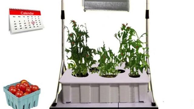 Anywhere Garden - Cherry Tomato смотреть онлайн