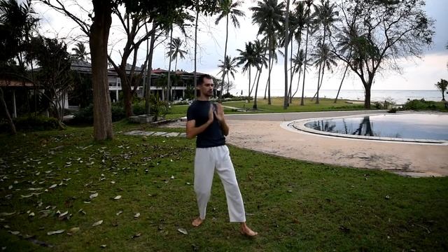 Цигун для сердца. Эмоциональный баланс. Уроки цигун. 2 урок. смотреть онлайн