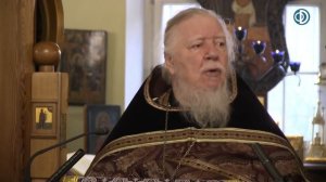 Протоиерей Димитрий Смирнов. Проповедь о христианстве как сораспятии Христу