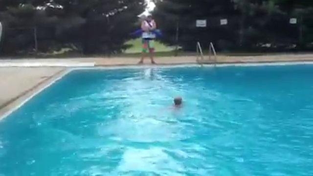 Flying Turtle! смотреть онлайн