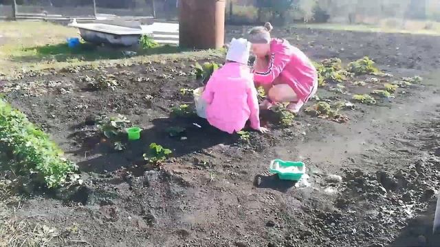 СТРОИМ ДУШ В ЧАСТНОМ ДОМЕ /ОБРЕЗАЛИ КЛУБНИКУ/УБИРАЕМ ТРАВУ/УБРАЛИ ЦВЕТЫ смотреть онлайн