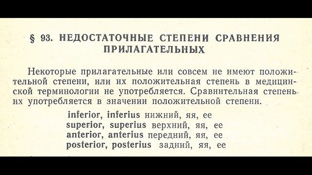 Латынь Основы лексики и грамматики