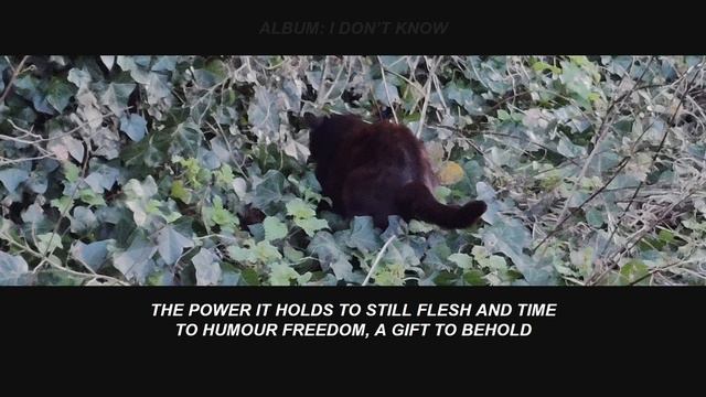 NO | LYRICS смотреть онлайн