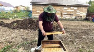 Двухматочное содержание пчёл в двух корпусах улья Дадан на 12 рамок.