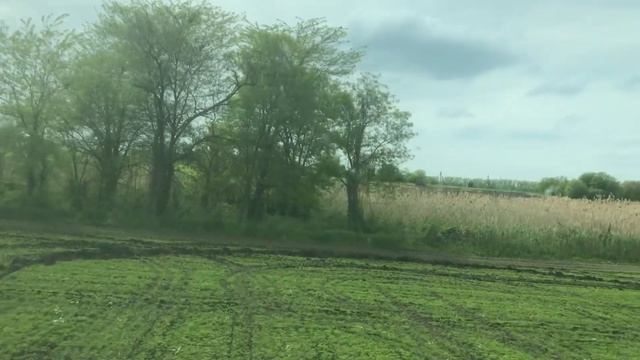 ТУМАН 3 работаю гербицидом спрут после сева кукурузы смотреть онлайн