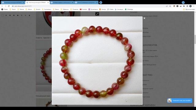 Итоги суперсерии конкурсов красоты для заводчиц смотреть онлайн