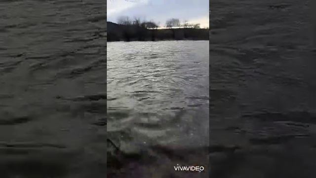 подус Ай смотреть онлайн