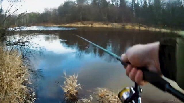 Закрываю сезон 2019. Рыбалка на Керженце. LIVE Рыбалка! смотреть онлайн