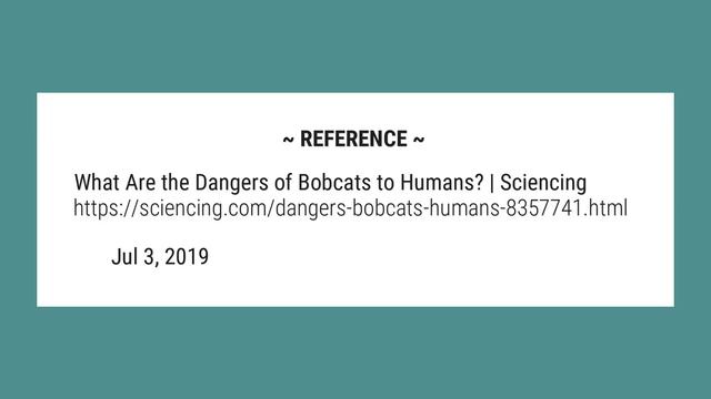 How dangerous is a bobcat? смотреть онлайн