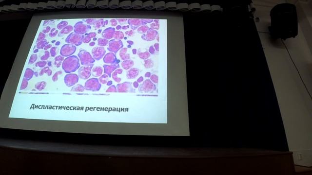 1.3.2 Анемии. Часть 2. Лекция. смотреть онлайн