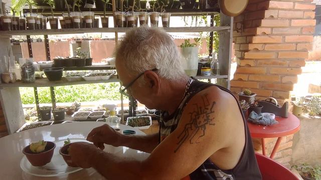 ECHEVERIA EQUADOR vídeo 495 смотреть онлайн