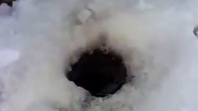 ЛИНЬ! муж на рыбалке! смотреть онлайн