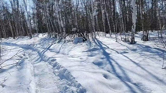 Немного о мотобуксировщиках смотреть онлайн
