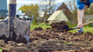 Огород для ленивых — сажаем и выращиваем картофель по траве, не вскапывая, не пропалывая