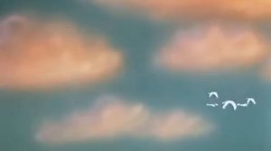 Гадкий утенок. Заключительная сцена